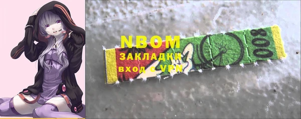 хмурый Нея