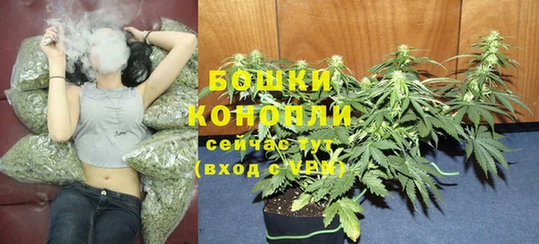 хмурый Нея