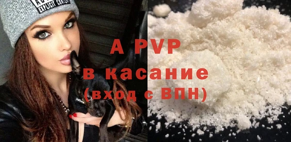 хмурый Нея