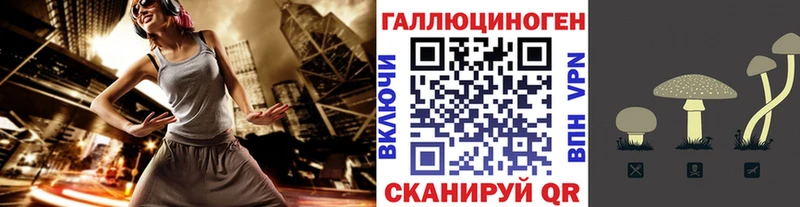 Псилоцибиновые грибы мицелий  Купить где  Устюжна 